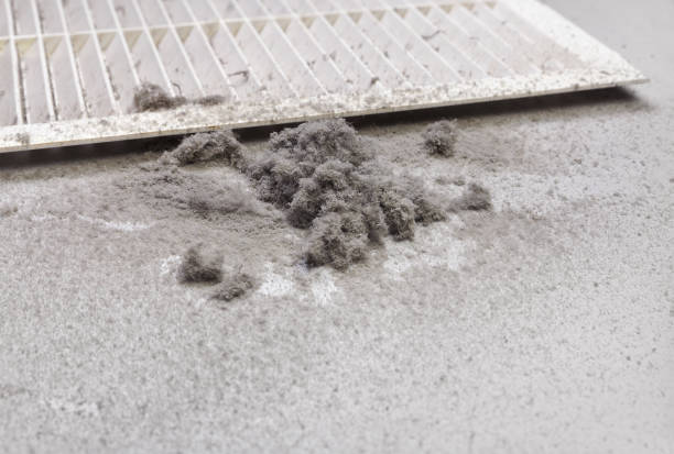 Best HVAC Air Duct Cleaning  in Elk Grove Vlage, IL