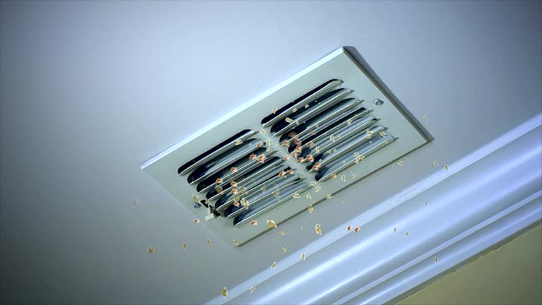 Ductwork Cleaning Services in IL