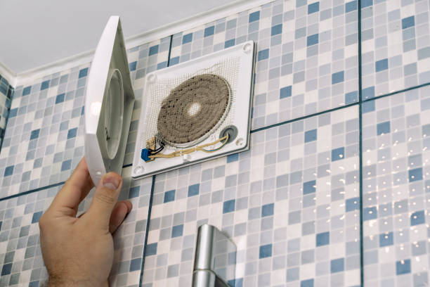 Best Professional Duct Cleaning Services  in Elk Grove Vlage, IL