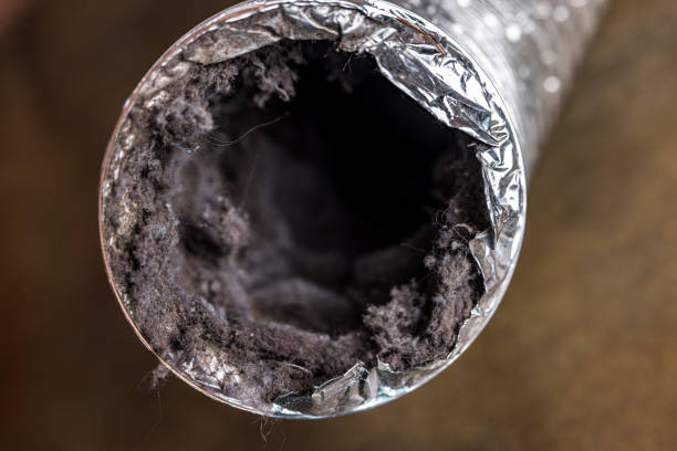 Best HVAC System Cleaning  in Elk Grove Vlage, IL