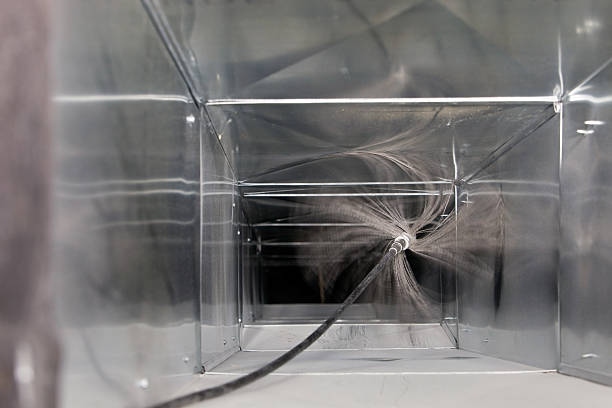 Best Dryer Vent Cleaning Services  in Elk Grove Vlage, IL