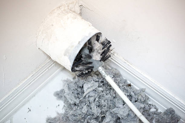 Best Air Duct Cleaning Near Me  in Elk Grove Vlage, IL