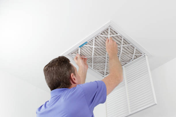 Best Air Vent Cleaning Services  in Elk Grove Vlage, IL